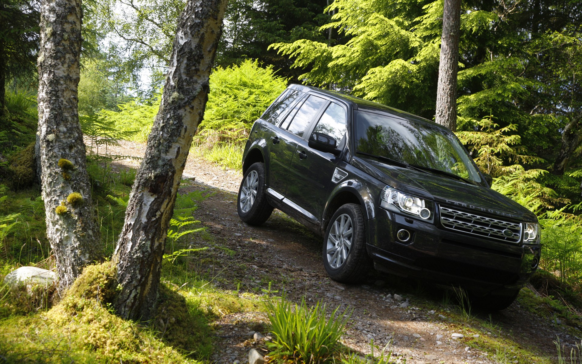 Land Rover Freelander 2 2013